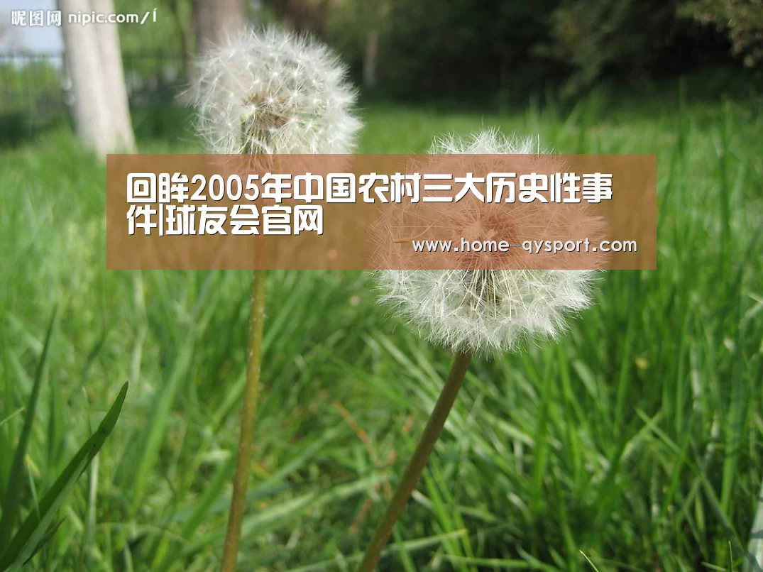 球友会体育